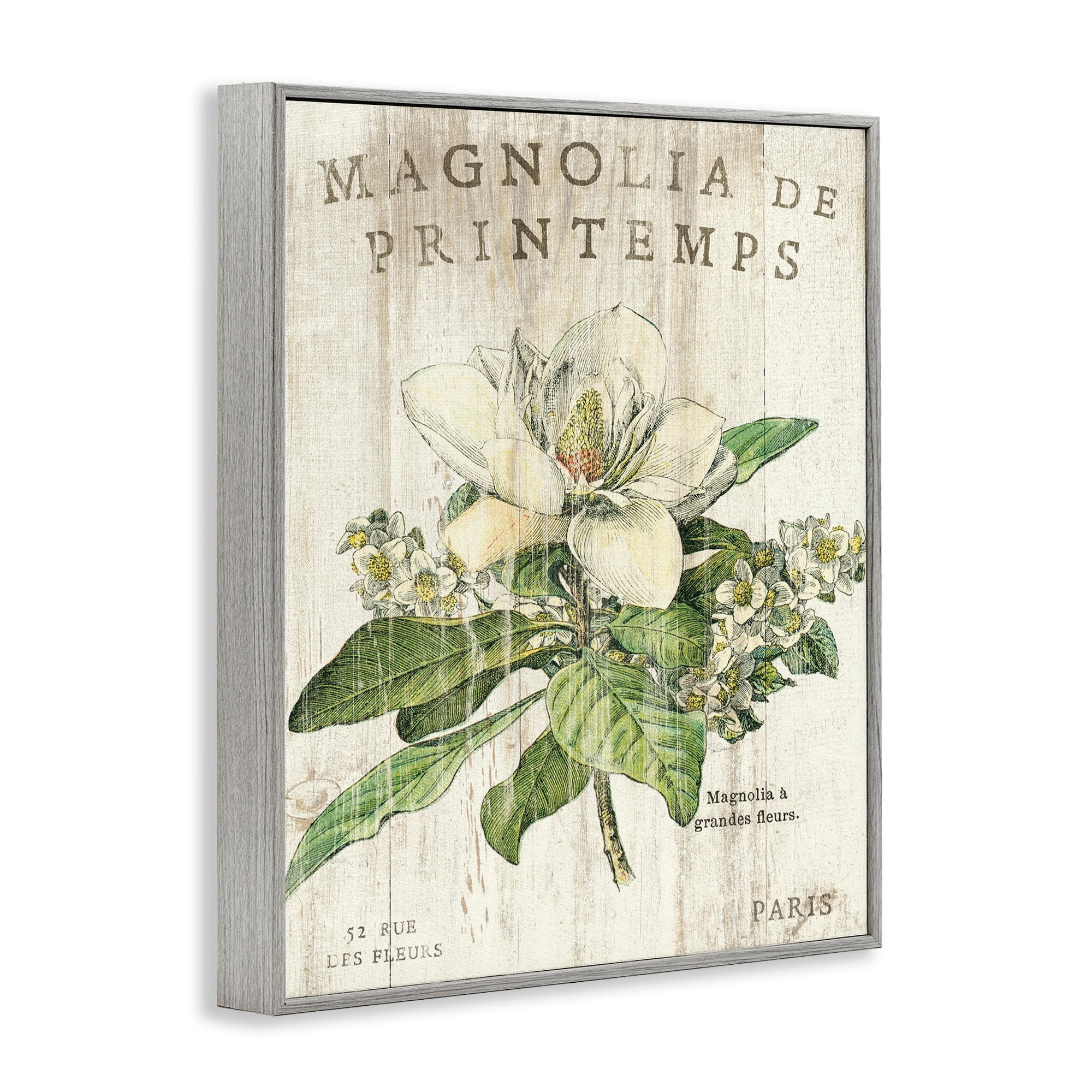Stupell Industries French Magnolias In Spring, 24 x 30,Design by Sue Schlabach