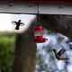 thumbnail image 3 of Feeder Hanging Garden Yard Outside Decoration Food, 3 of 4