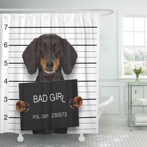 SUTTOM Dachshund Sausage Dog Holding Police Department As Mugshot at