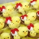 thumbnail image 5 of Adorno de Pascua: Pollito Adorable para Decoración Del Hogar, Caja de Regalo, Mini Pollitos de Pascua, 5 of 7