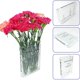 thumbnail image 3 of Florero Walbest de acrílico con forma de libro transparente, 3 of 9