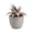 E, variant on huayou Mini Frosted Pink Rosette Artificial Succulent Potted Plant with Gray Cement Pot, Faux Tabletop Greenery for Living Room Office Desktop Decoration