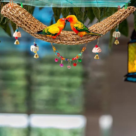 Parrot Climbing Cage Straw Rope Ladder Toy Hanging Swing Net Parrot Hammock Parakeet Macaw Parrotlet Grey African Cockatoo , with Bells