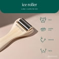 thumbnail image 4 of Ice Roller EcoTools levanta y quita la piel de acero inoxidable, 4 of 9