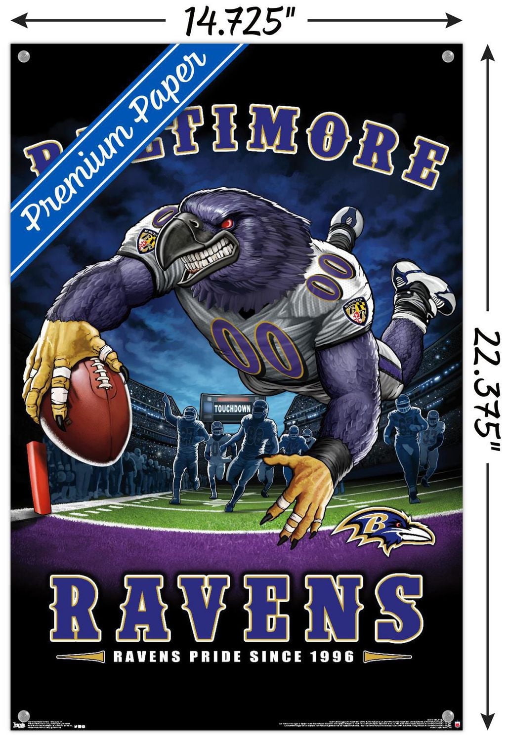 Ravens de Baltimore de la NFL - End Zone 17