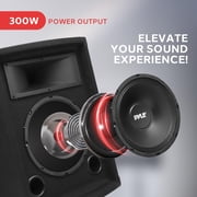 PylePro Passive Cabinet PA Speaker Durable 500 Watt Portable Outdoor Sound System w/ 10 Woofer, 1.5 Kapton VC, 4 x 10 Super Horn for Mids and Highs, Black, One Size PADH1079