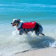 thumbnail image 3 of Outward Hound Dawson Dog Life Jacket, Medium, Red, 3 of 8