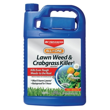 BioAdvanced All-In-One Lawn Weed and Crabgrass Killer I, Concentrate, 1 Gallon