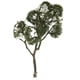 thumbnail image 1 of Maqueta de Arce de árbol 12cm 1:75 OO, 1 of 7
