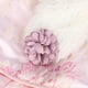 thumbnail image 1 of Otoño Invierno Algodón Lindo Rosa Espesar Hermosa Suave Cómoda Ropa para Mascotas Abrigo Cálido Ropa para PerrosL, 1 of 13