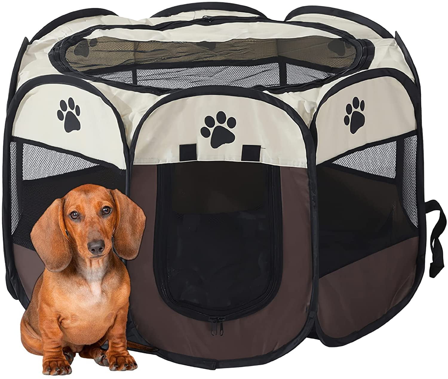 dog sleeping in tent
