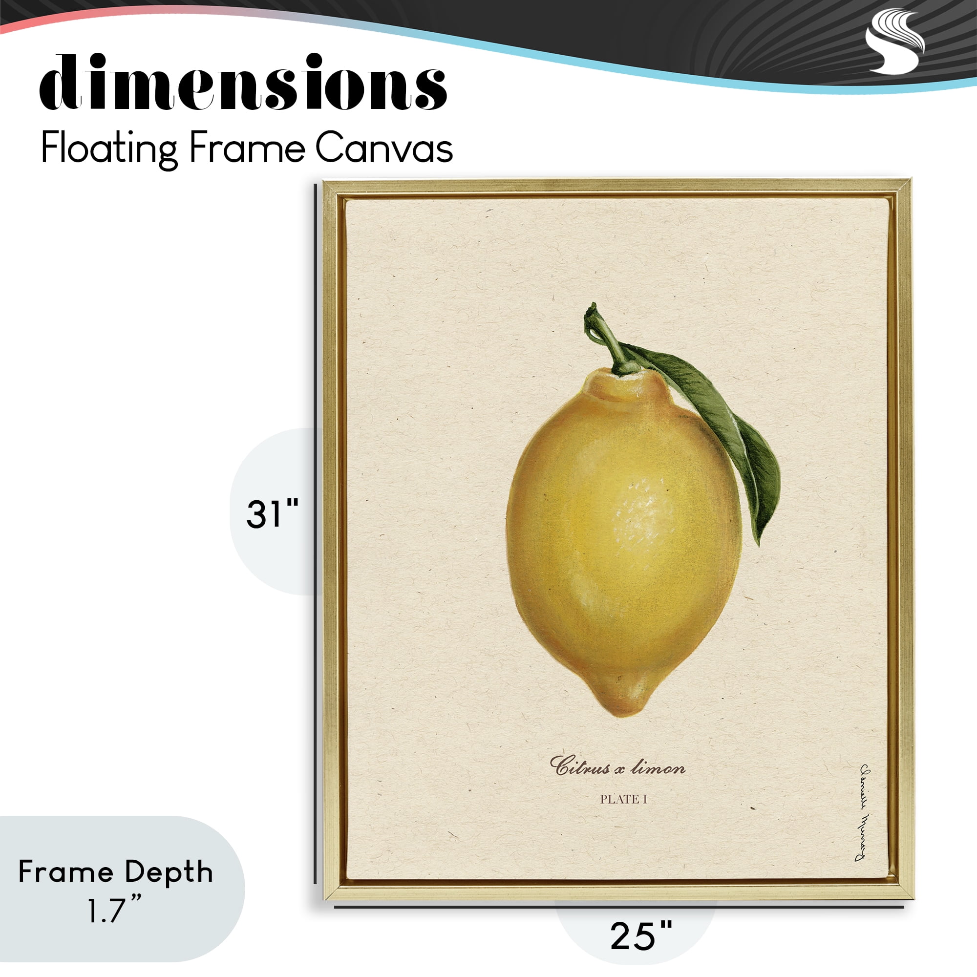 Stupell Industries Lemon Fruit Portrait Gold Framed Floater Canvas Wall Art, design by Danielle Murray