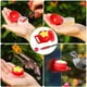 thumbnail image 4 of Methold Paquete de 2 ventosas, accesorios de jardín de fácil agarre, artesanía, comedero de colibrí, estante, suministros para mascotas, herramienta Type3 NO3 Methold PT002156-00, 4 of 5