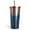 Blue-2, variant on Cancer 17oz Insulated Tumbler with Lid & Stainless Steel Straw – Double Wall 304 Stainless Steel, BPA-Free, Leak-Proof Travel Cup for Coffee, Tea, Juice, Constellation