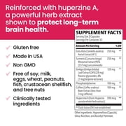 NeuroQ Memory & Focus Extra Strength - Boosts Cognitive Performance & Brain Function - Supports Neuroprotection & Concentration - Huperzine A, Gotu Kola, Ginkgo, Coffee Fruit & Propolis - 60 Capsules
