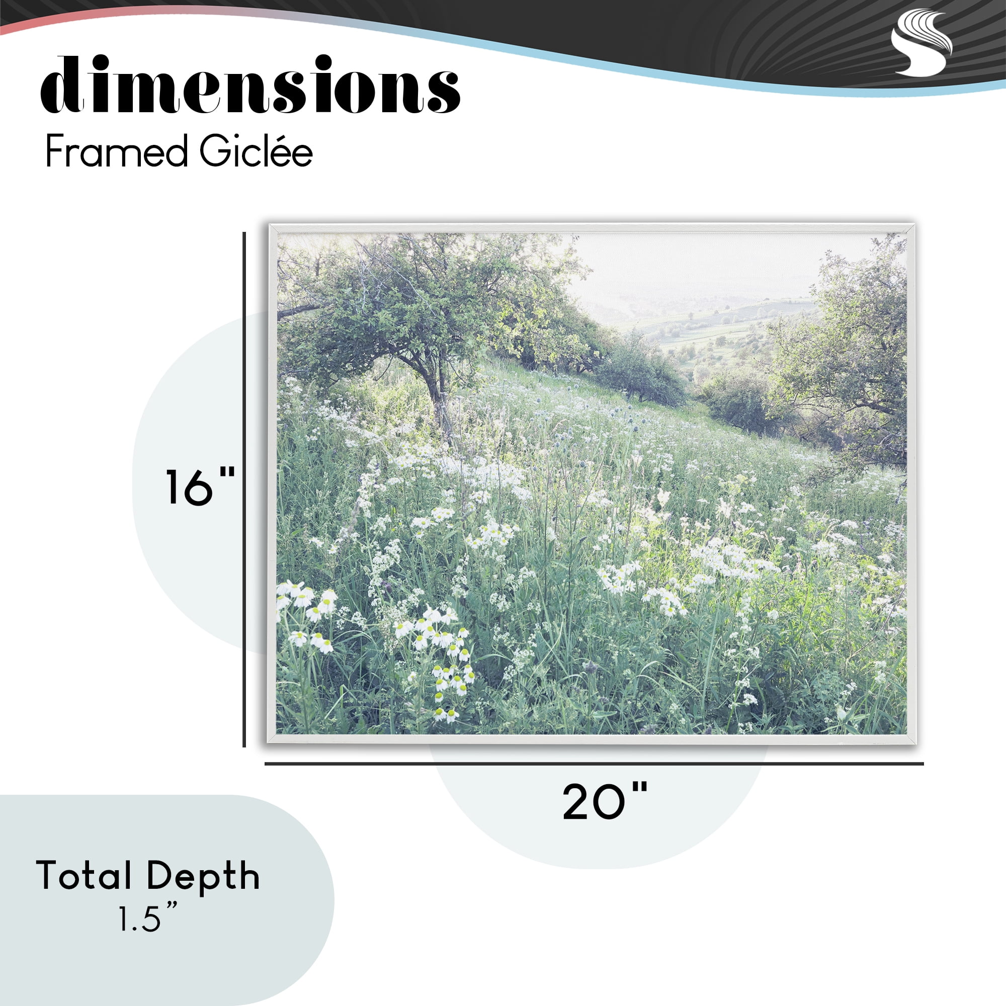 Stupell Industries Sunny Daisies in Meadow White Framed Giclee Art, design by Leah Straatsma