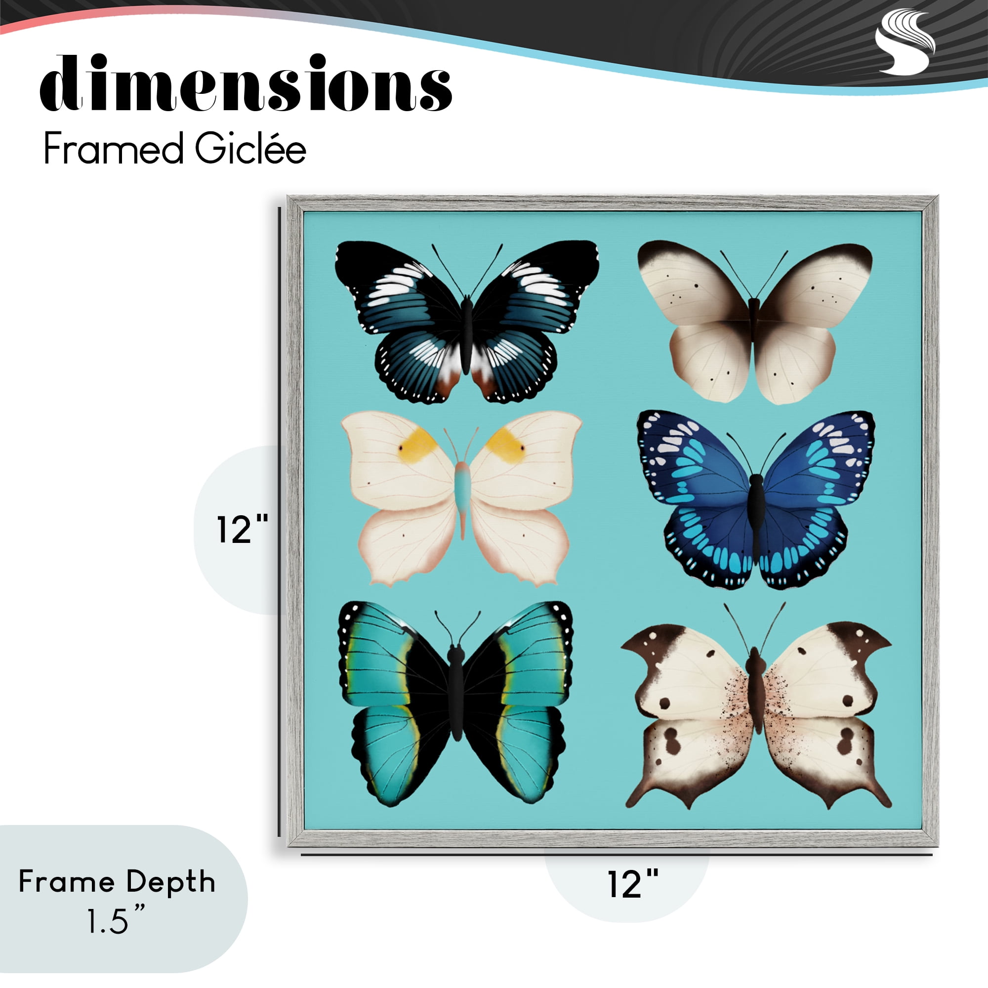 Stupell Industries Six Diverse Butterflies on Turquoise Gray Framed Giclee Art, design by Metka Hiti