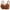 Brown, variant on POTETI Full Figure Plus Size Womens Bras Wirefree Push Up Bras for Women Breathable Comfortable Underwear