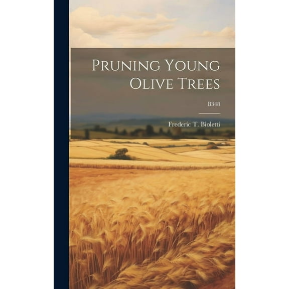 Pruning Young Olive Trees; B348 (Hardcover)