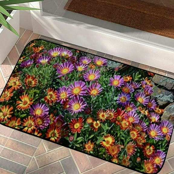 PHYHOO Doormat Floor Rug/Mat - Ice Plant Delosperma Blossom Bloom Flower Decorative Door Mat, Door Mat with Non-Slip Rubber Backing, Easy Cleaning, Traps Dirt, Rug for Entry, Patio