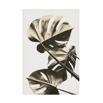 Canvas Wall Art - Pictufy Studio Iii 'Monstera Gold 09' Wall Art for Living Room, Bedroom, or Office D?cor by Trademark Fine Art - 12 x 19 Inches