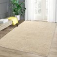 thumbnail image 1 of Shaggy Area Rug, Indoor Washable Fluffy Plush Throw Rug, Luxury Faux Fur Floor Carpet, 1 of 9