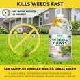 thumbnail image 2 of Harris Sea Salt 10X Organic Weed & Grass Killer, 1 Gallon, 2 of 6