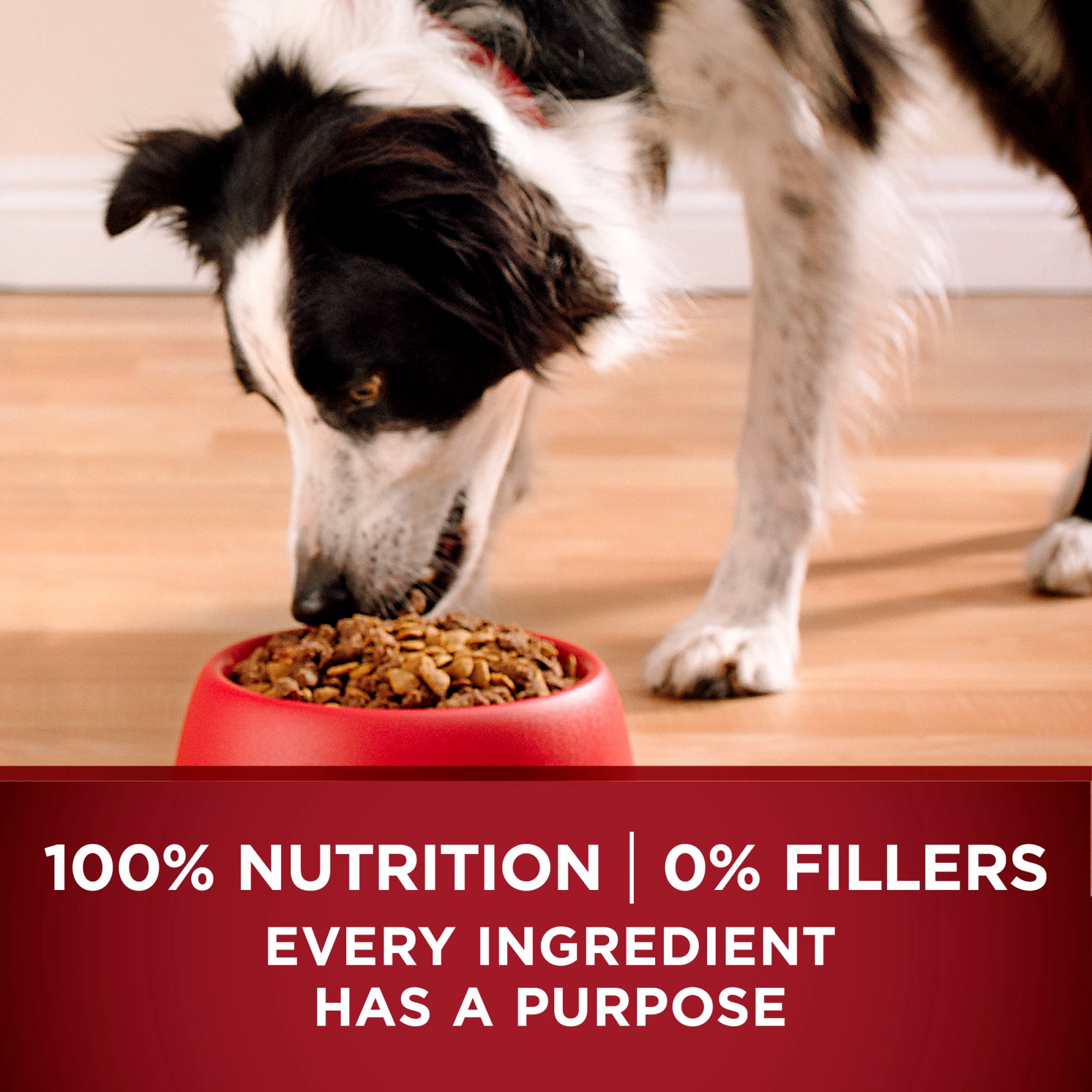 (4 pack) Purina ONE True Instinct With A Blend Of Real Turkey and Venison Dry Dog Food, 7.4 lb, 4 Pack