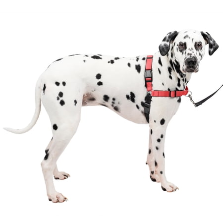 PetSafe Deluxe Easy Walk Dog Harness No Pull Dog Harness Perfect for Leash & Harness Training Stops Pets from Pulling and Choking on Walks