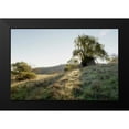 thumbnail image 2 of Blaustein, Alan 18x13 Black Modern Framed Museum Art Print Titled - Oak Tree - 36, 2 of 5