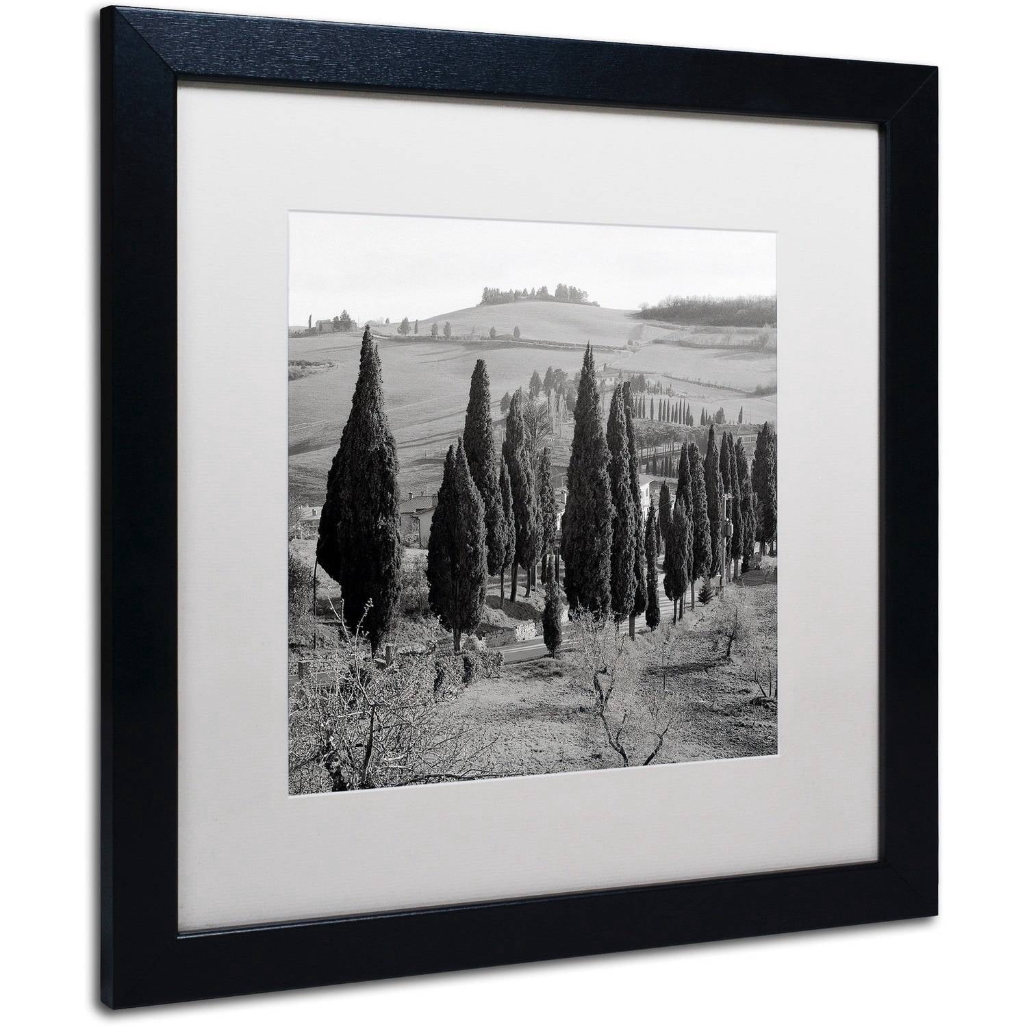 Trademark Fine Art "Tuscany IV" Canvas Art by Alan Blaustein, White Matte, Black Frame