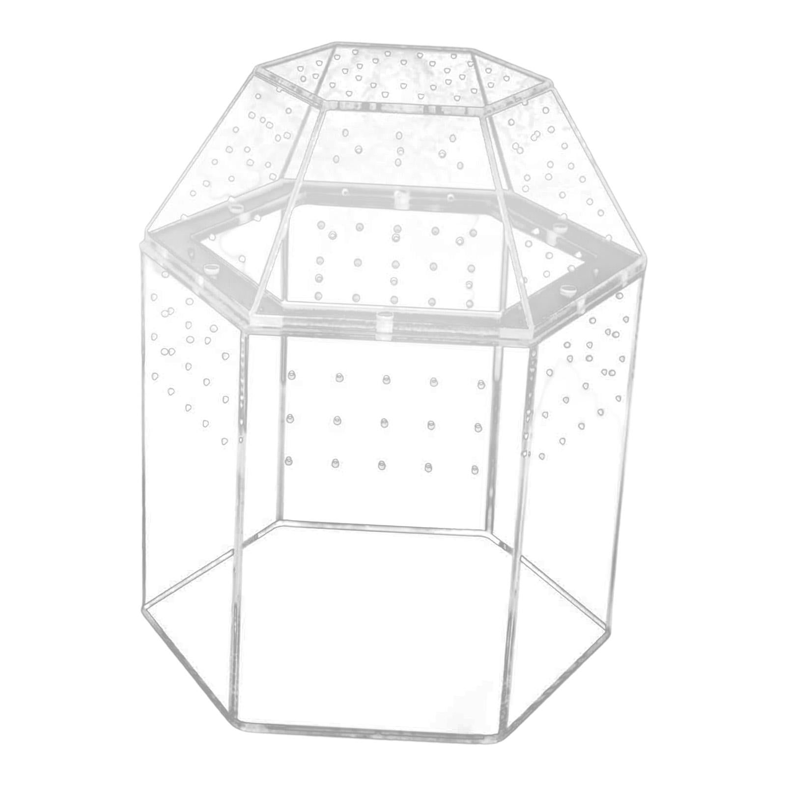 Small Reptile Terrarium Spider Box Vertical Tarantula Enclosure Acrylic Material for Classroom Display and Home Decor