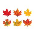 thumbnail image 1 of Maple Leaves Classic Accents® Variety Pack, 36 Ct, 1 of 3