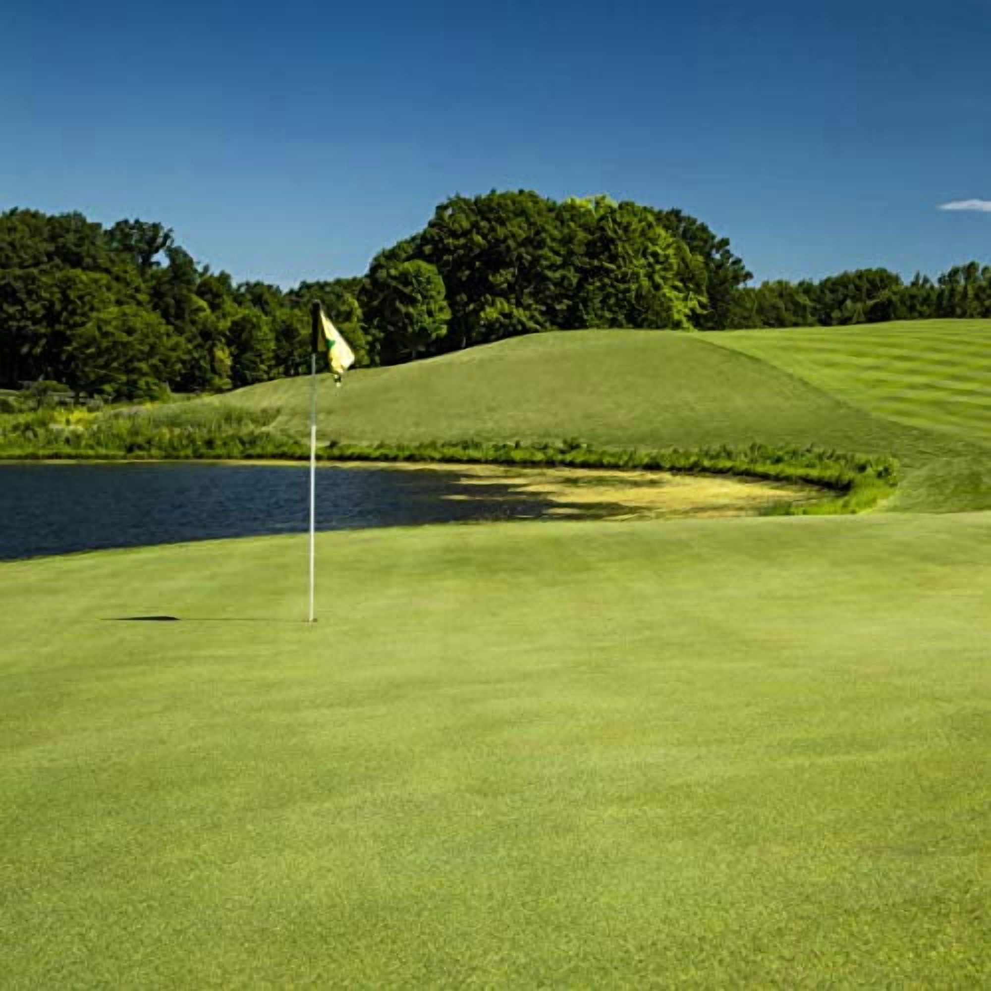 Outsidepride 5 lb. PC2.0 (Penncross) Golf Creeping Bent Grass Seed for Tees, Putting Greens, & Fairways