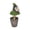 C, variant on WOHSAO Halloween Witch Hat Topiary Plant With Pot Halloween Potted Decor Spooky Tabletop Ornament, Cute Witch Themed Mini Moss Trees For Halloween Home Party Decor, Holiday Gift For Family