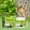 Green, variant on Ikohbadg Tree Wound Sealant for Pruning and Grafting, Fast Drying Tree Trimming Sealant Tool, Plant Repair Paste with Brush for Tree Care