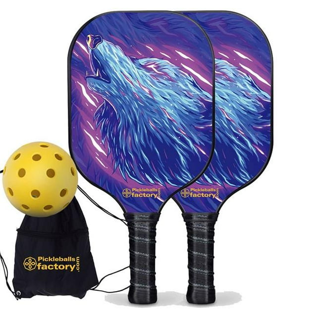 Ensemble de Raquettes de Pickleball PB0001-1-G Pickleball , Fibre de Verre Graphite