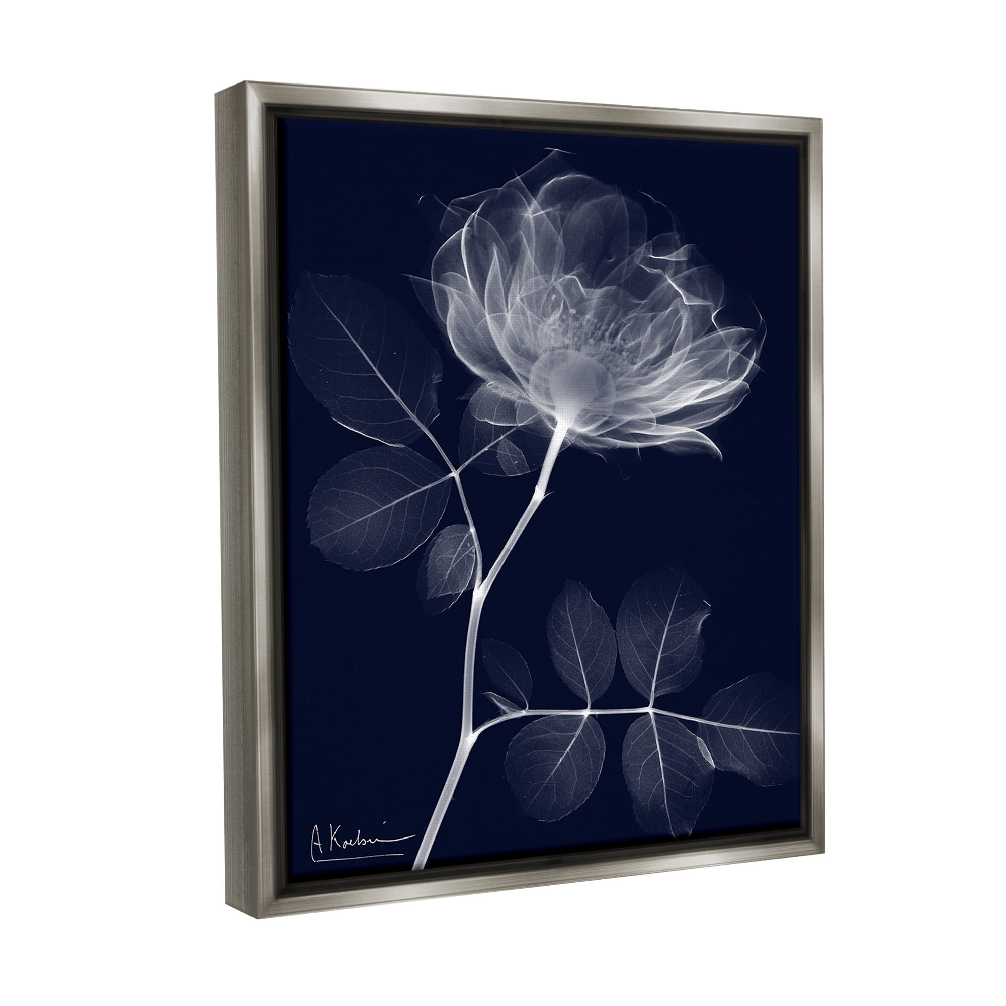 Stupell Industries Dynamic Dark Flower Botanical & Floral Photography Gray Floater Framed Canvas Art Print Wall Art, 17 x 21