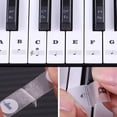 thumbnail image 1 of Pegatinas extraíbles Ehuebsd para teclas de Piano 37 49 54 61 88, 1 of 9