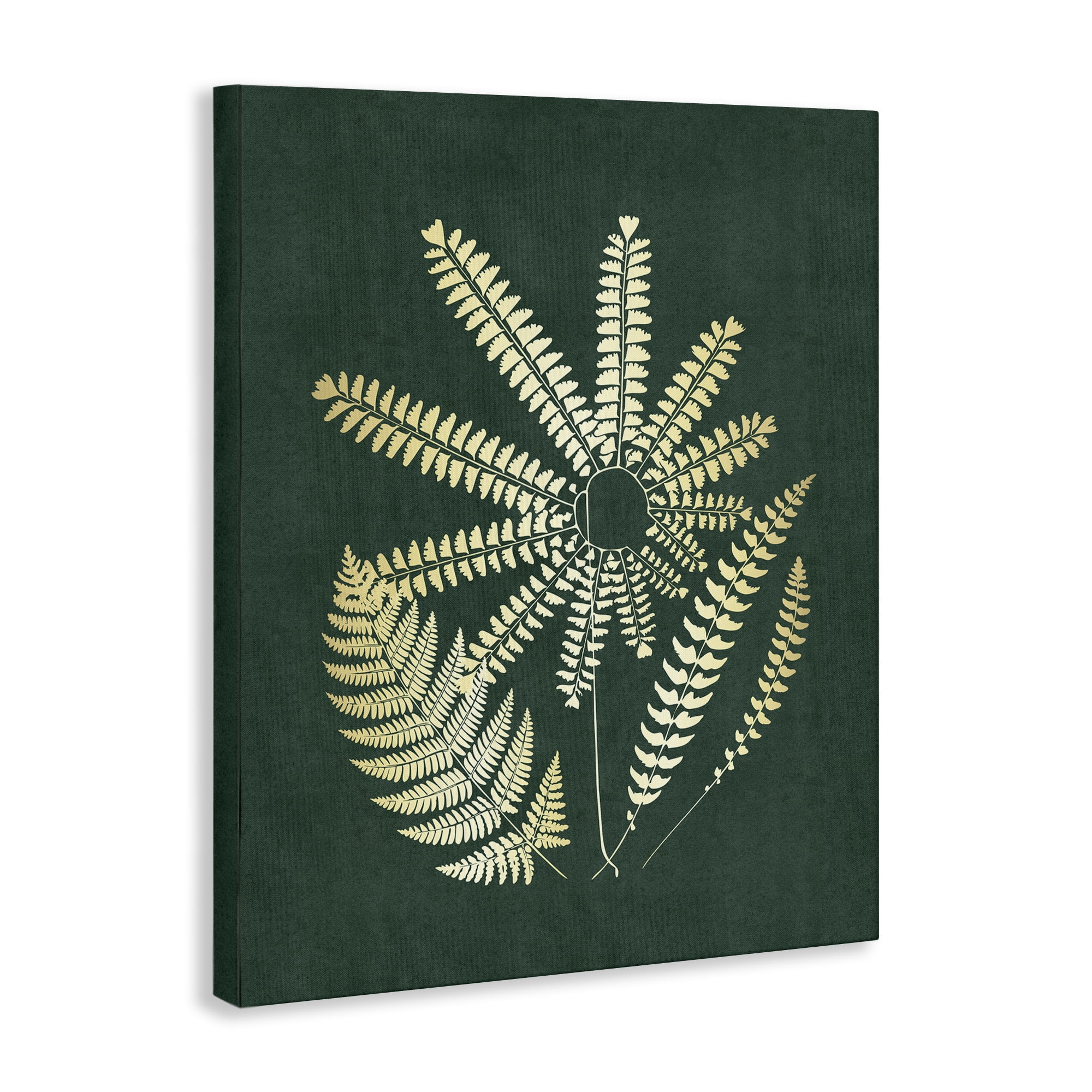 Stupell Industries Fern Sprigs Flower Shape Plants & Flowers Painting Wrapped Canvas Art Print Wall Art, 30 x 40