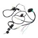 thumbnail image 1 of Bobina de Encendido CDI Del Interruptor de Del Arnés de Cableado para Bici de Suciedad 50cc-160cc Macarena Arnés de cableado Bujía, 1 of 8