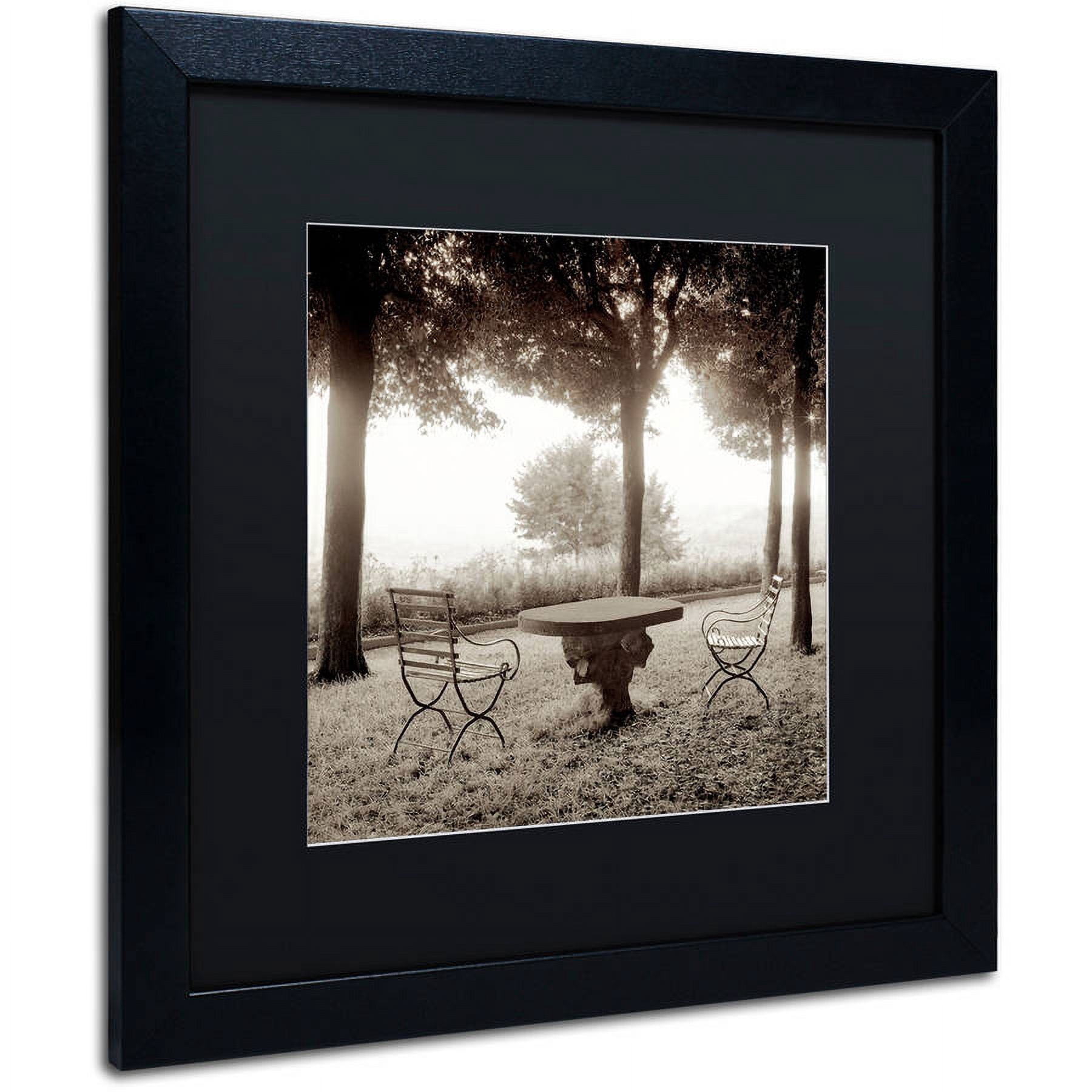 Trademark Fine Art "Fiesloe Giardini I" Canvas Art by Alan Blaustein, Black Matte, Black Frame