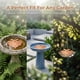 thumbnail image 2 of Copper Disc Of Bird Pond Cleaner Copper Disc Of Bird Pond Cleaner, 2 of 9