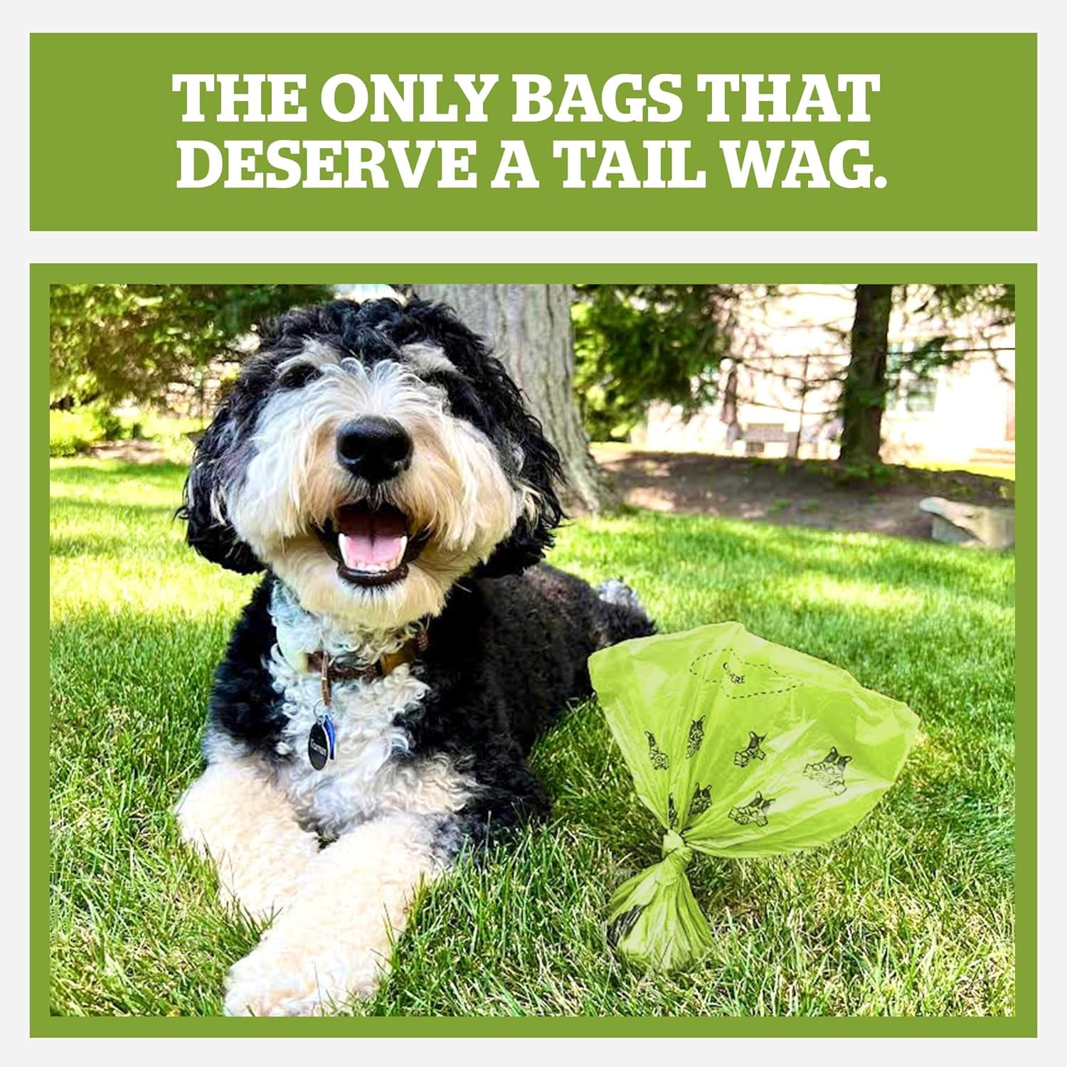 Pogi's Poop Bags – Large, Leak-Proof Dog Waste Bags for Yard or Home Use, Fresh Scent (Single Roll, 500-Count)