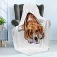 thumbnail image 4 of Beagle Soft Flannel Fleece Throw Blanket, Old Dog Resting Sleeping Tired Puppy Short Haired Purebred Sketch Art, Cozy Plush for Indoor and Outdoor Use, 70" x 90", Brown Baby Blue White, by Ambesonne, 4 of 5