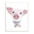 thumbnail image 5 of Stupell Cute Baby Piglet Up Close Illustration, Wall Plaque, 10 x 0.5 x 15, A 13 x 19, 5 of 5