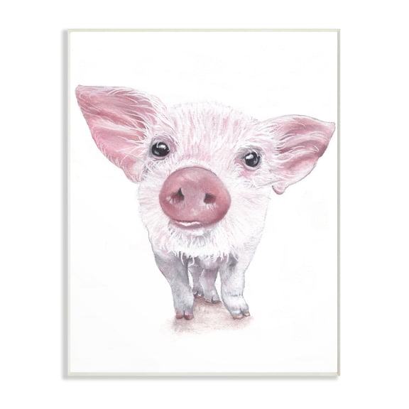 Stupell Cute Baby Piglet Up Close Illustration, Wall Plaque, 10 x 0.5 x 15, A 10 x 15