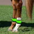 thumbnail image 5 of LED Horse Ankle Bands - 4 Pieces Safety Leggings, Flexible 4 Modes Horse Ankle Straps | Abrasion-Resistant PVC LED Horsess Leg Bands for Night Riding Trail Road Parade Farm Stable Ranch Stall, 5 of 18