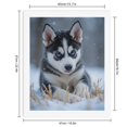 thumbnail image 2 of Paint by Numbers Kit for Adults, Snowy Puppy Blue Eyes Winter Scene Paint by Numbers, Easy Paint by Numbers Kit for Adults Beginner, DIY Adult Paint by Number Kits on Canvas, Home Decor, 2 of 7