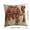 D, variant on OutmaxHome Animal Theme Printed Throw Pillow Cover, Cute Small Animal Decorative Pillow Cover, for Bed, Sofa, Livingroom, Car